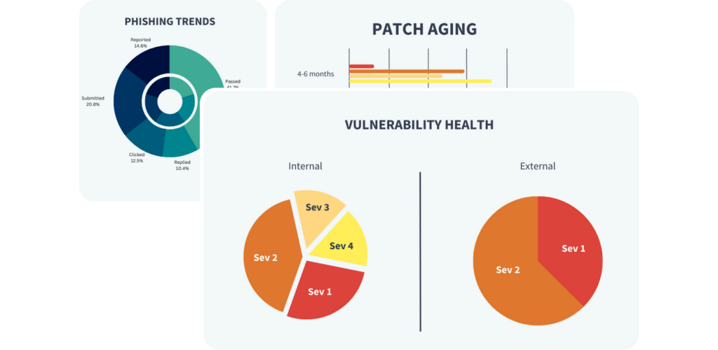 Vulnerability Management + Dark Web Monitoring​