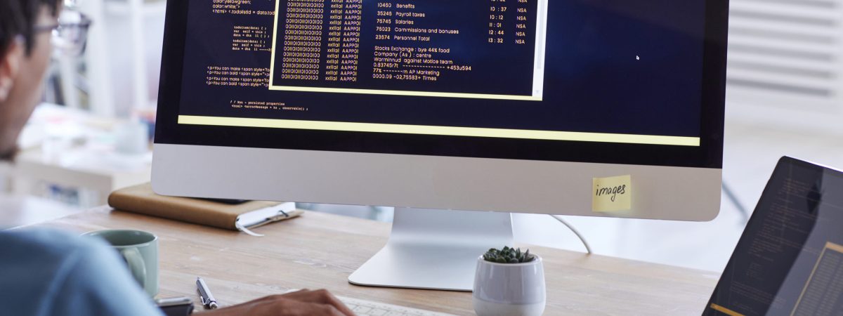 Back view portrait of African-American man writing code on computer screen while working at desk in IT development studio, copy space